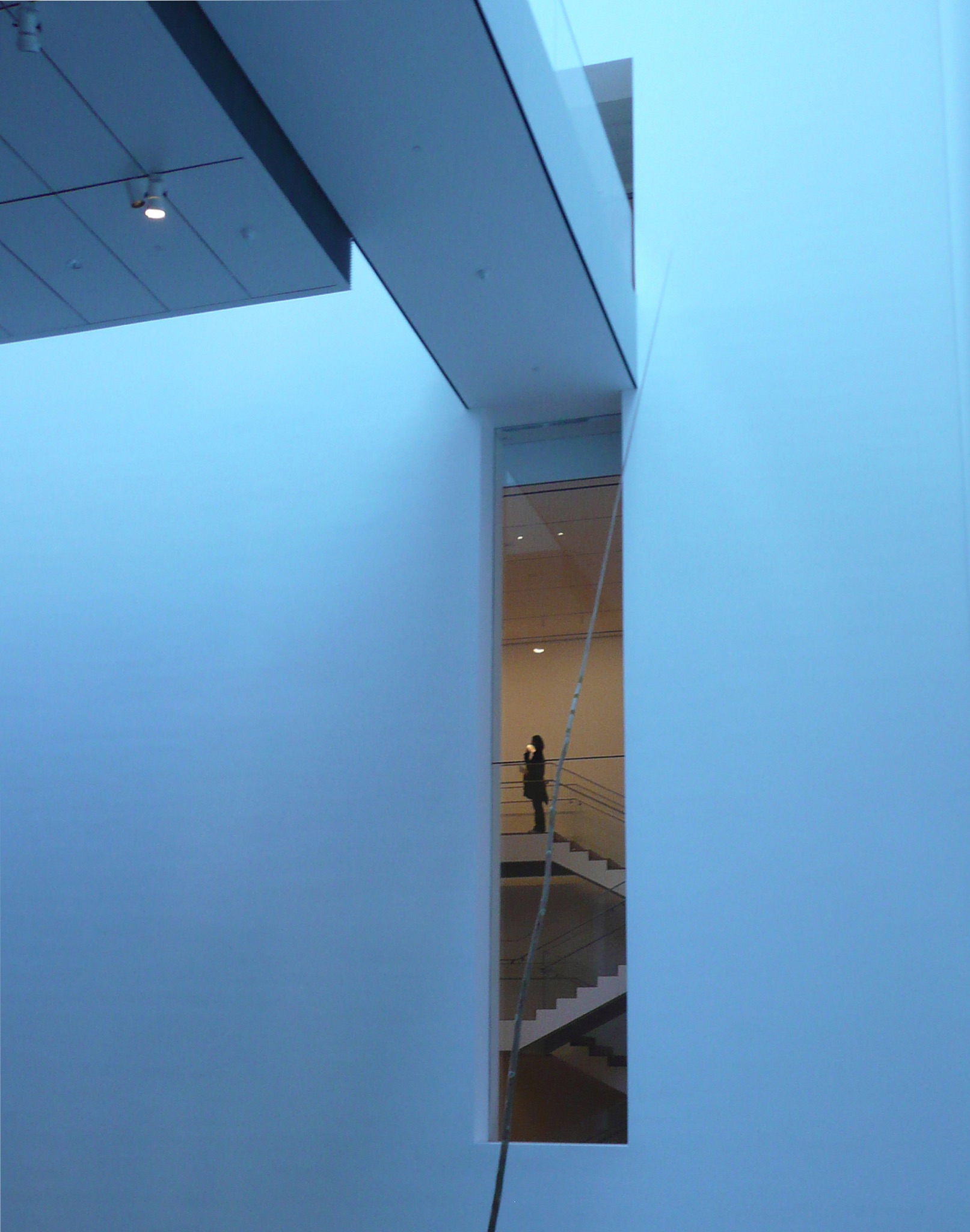 New York Blues MOMA 2007